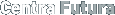 中心